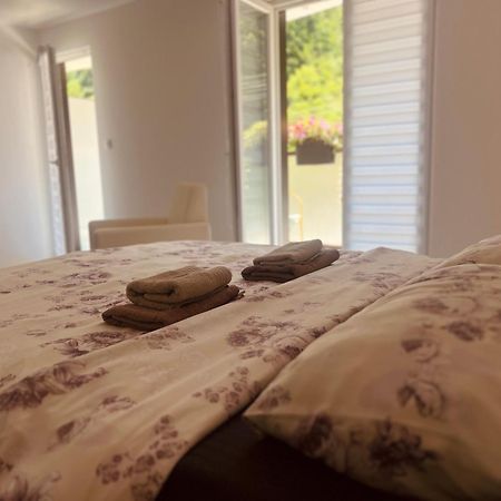 Bed and Breakfast Zeleni Dvor Ribarska Banja Exteriér fotografie