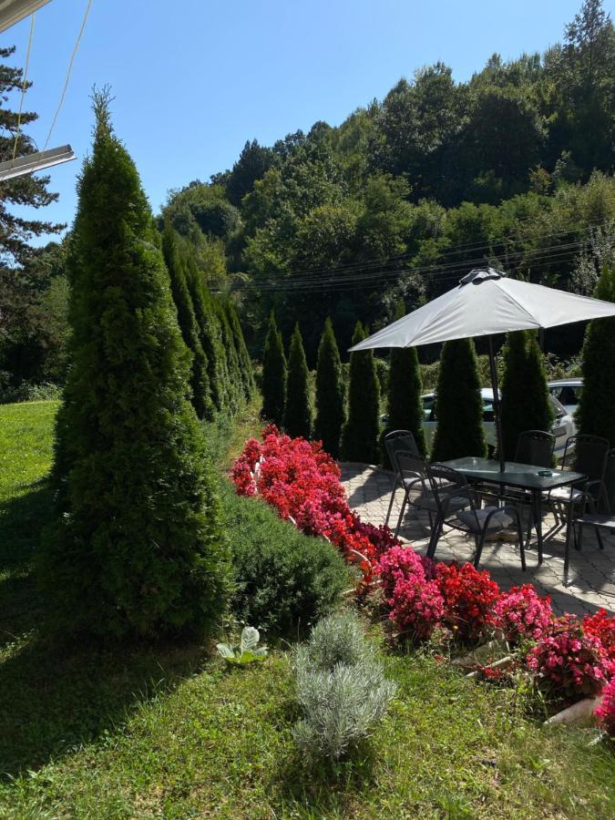 Bed and Breakfast Zeleni Dvor Ribarska Banja Exteriér fotografie